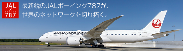 無料ダウンロード 飛行機 壁紙 スマホ Ana ベスト 壁紙 イラスト