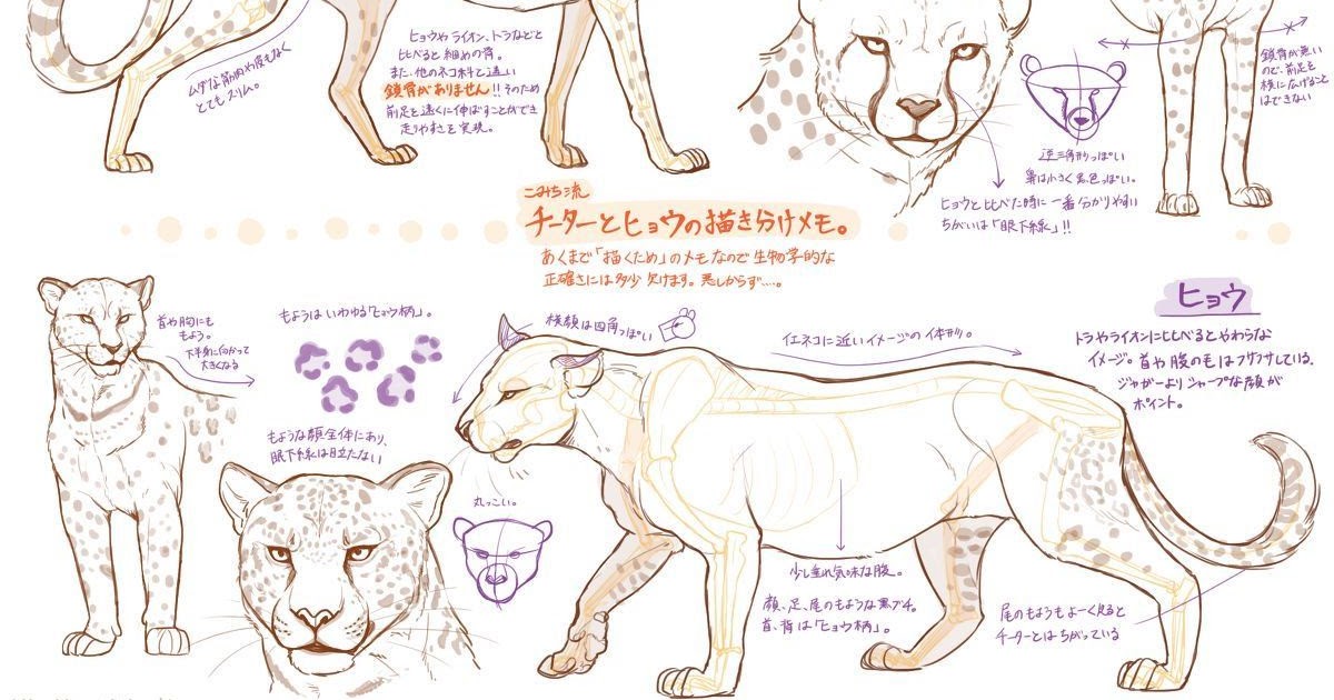 99以上 虎 イラスト 簡単 書き方 虎 イラスト 簡単 書き方 Ikiikukowexcrn