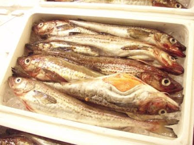 【印刷可能】 スケトウダラ 卵 名前 127707-スケトウダラ 卵 名前