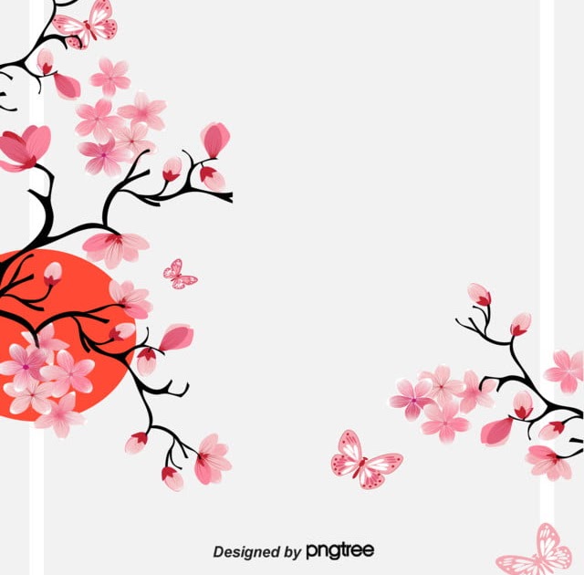 Terbaru 14 Background  Bunga  Sakura  Segar  Gambar  Bunga  HD