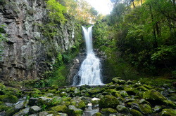 Taheke Waterfall