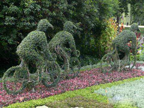 Chinese                                                          gardens