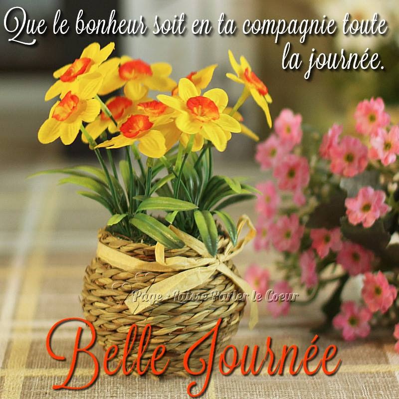 Joyeux Anniversaire Que Du Bonheur Et De Reussite Inchallah Dann Yuki