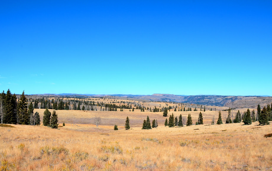 Learn how to find free campsites you'll love. Lagunitas Lakes Make For Fine Fall Fishing Outdoors New Mexico