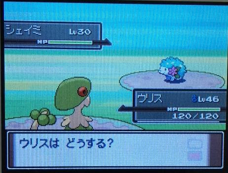 0以上 ポケモン プラチナ 伝説 捕まえ 方 ベストコレクション漫画 アニメ