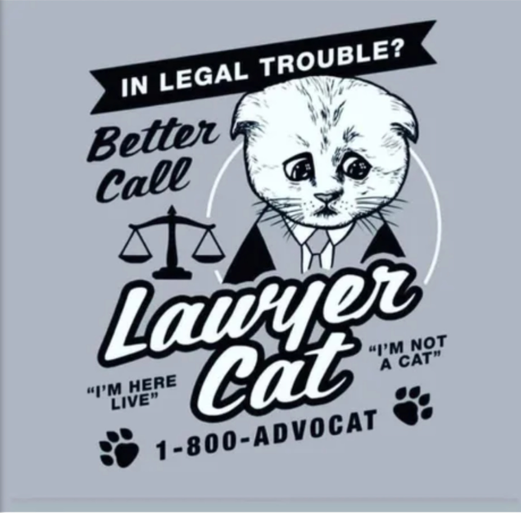 Lawyer using zoom cat filter mishap refers to a viral video taken from a live stream of a civil forfeiture hearing held on the video conferencing application zoom in texas' 394th judicial district court. Lawyer Cat Meme By Joeym31 Memedroid