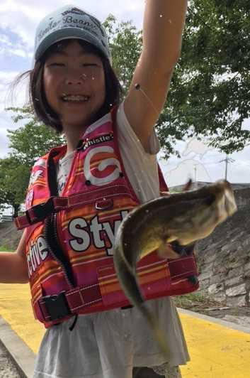 これまでで最高のパワー イソメ バス すべての魚の画像