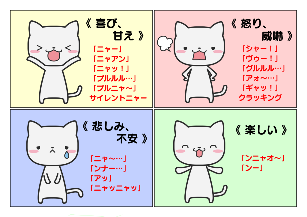 Japan Image 猫 鳴き声 意味