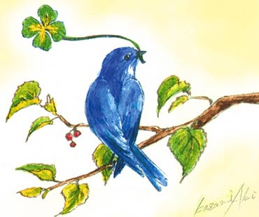 すべての動物の画像 Hd限定青い鳥 イラスト 綺麗