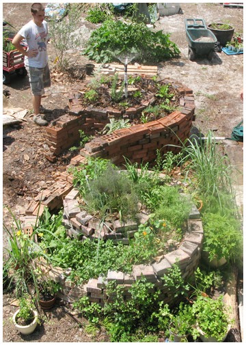 Golem Housing Co-operative: Urban Permaculture and Garden Design v.1 on Permaculture Garden Layout
 id=67654