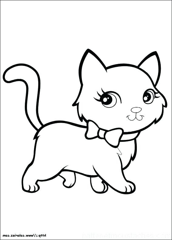 Dessin Facile De Chat Mignon Dessin Facile