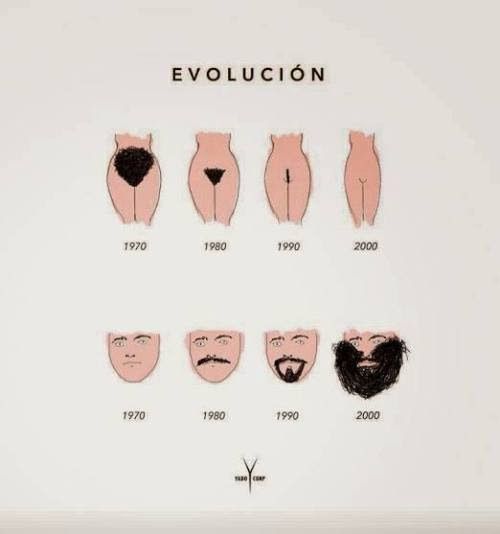 Hair coloring pattern hair loss pubic hair, hair png clipart. Hair Style Evolution Beard Pubic Hair Men And Women Comic Drawing Ennui Issexy