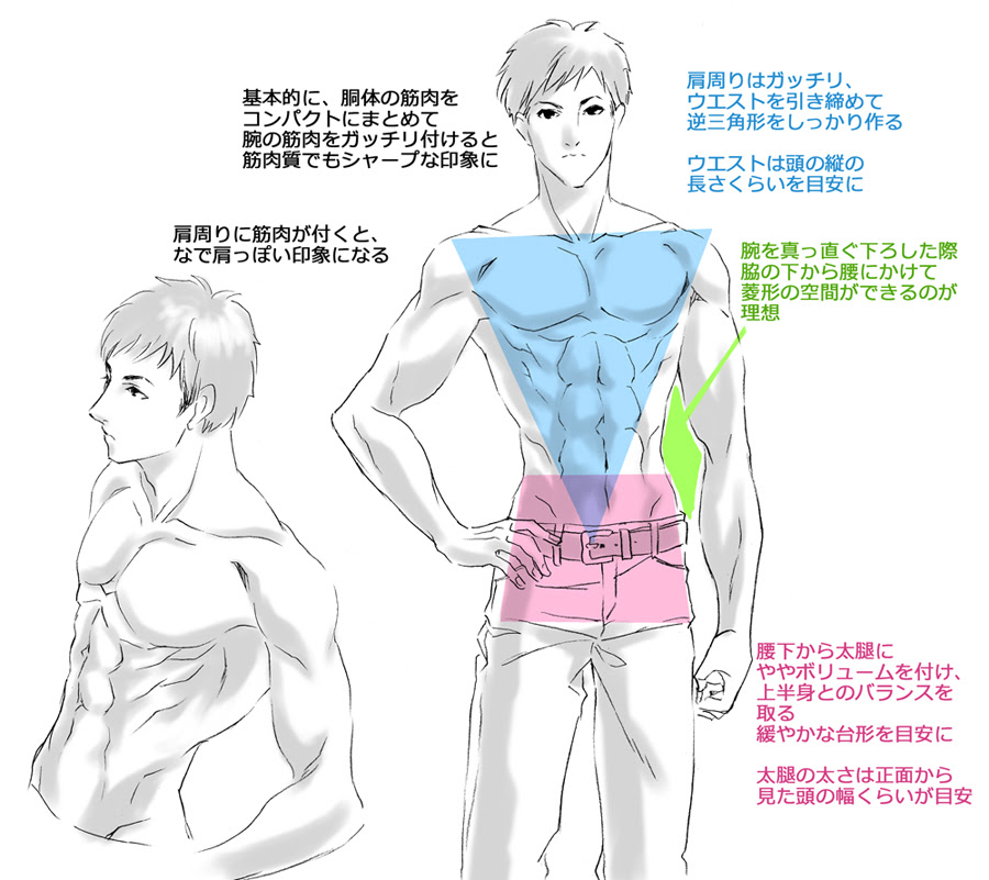 最高イラスト 男 腕 筋肉 ただのディズニー画像