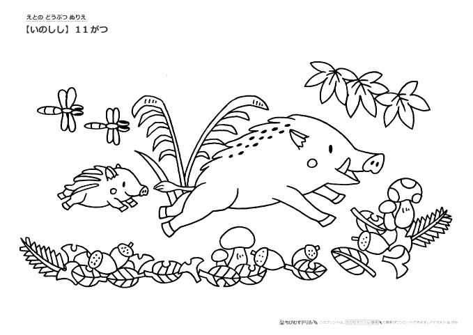 最高かつ最も包括的な11月 イラスト 無料 塗り絵 動物ゾーン