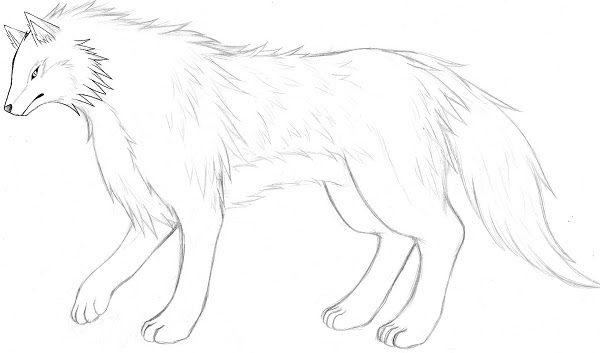 上狼 イラスト 描き方 簡単 動物ゾーン