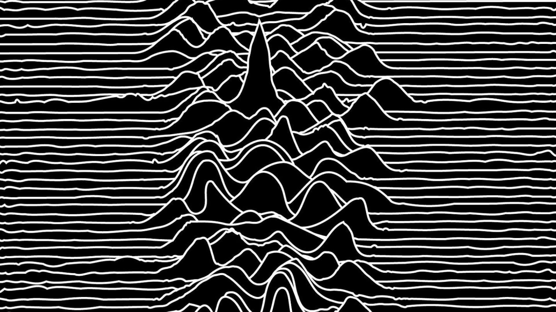 驚くばかりdivision 壁紙 花の画像