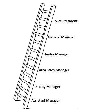 Laddering is a financial term used in various ways depending on the industry. Definition Of Career Ladder Human Resource Management