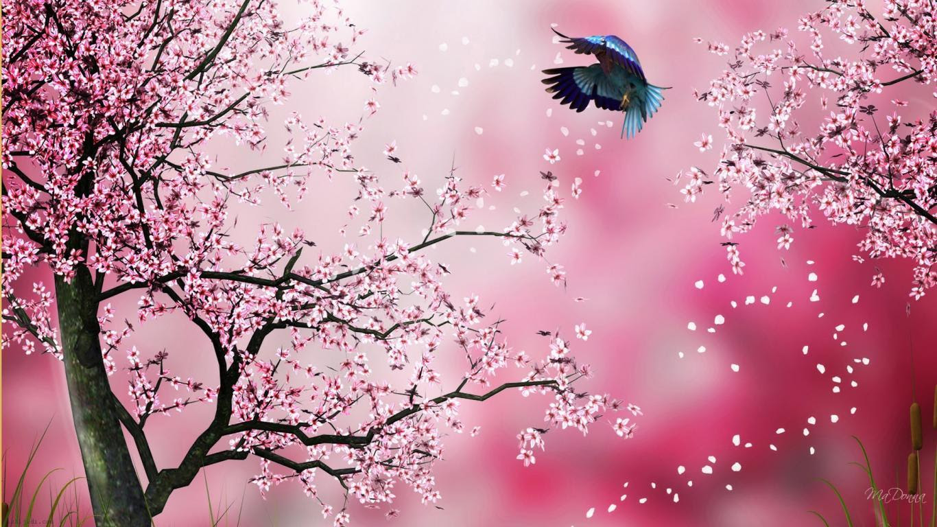 Gambar Wallpaper Bunga Sakura Expo Wallpaper