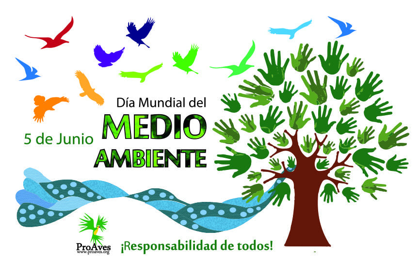 Se instituyó este día con el objetivo de contribuir a crear conciencia acerca de la necesidad de proteger y mejorar el medio ambiente, en recuerdo a la apertura de la ¿sabias Bioblog