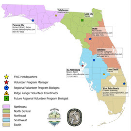 Regions