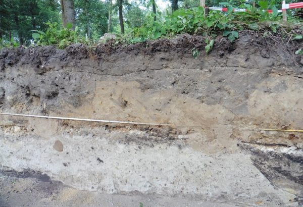 Foto
gemaakt tijdens de opgraving door Ben Olde Meierink (NKS)