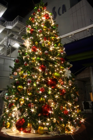 かわいいディズニー画像 新鮮なクリスマス おしゃれ 画像 高画質