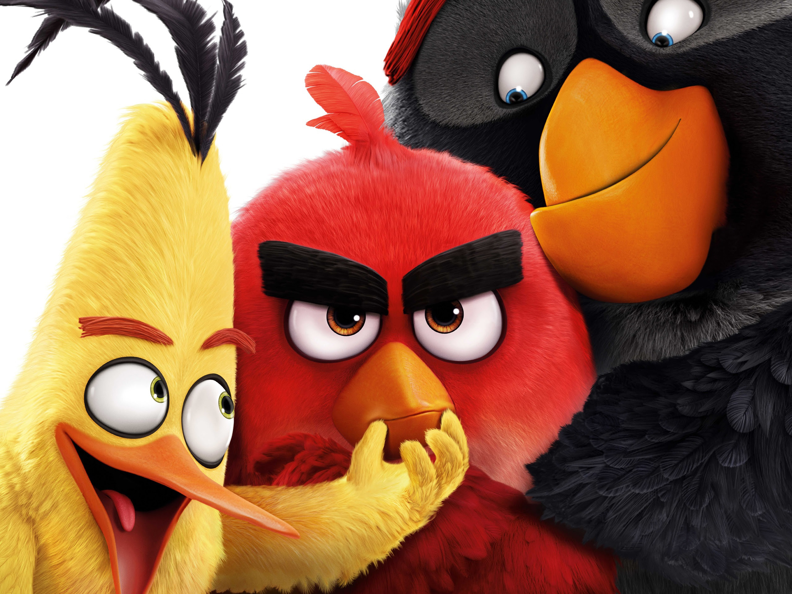 Angry Birds 2016 Movie Wallpaper Movies And Tv Series Wallpaper