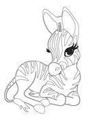 Some of the worksheets for this concept are animal babies and adults picture card set, kindergarten mother and baby animal lessons, baby animals match, animal families activities kindergarten, eek 1. Baby Animals Coloring Pages Free Printable Pictures