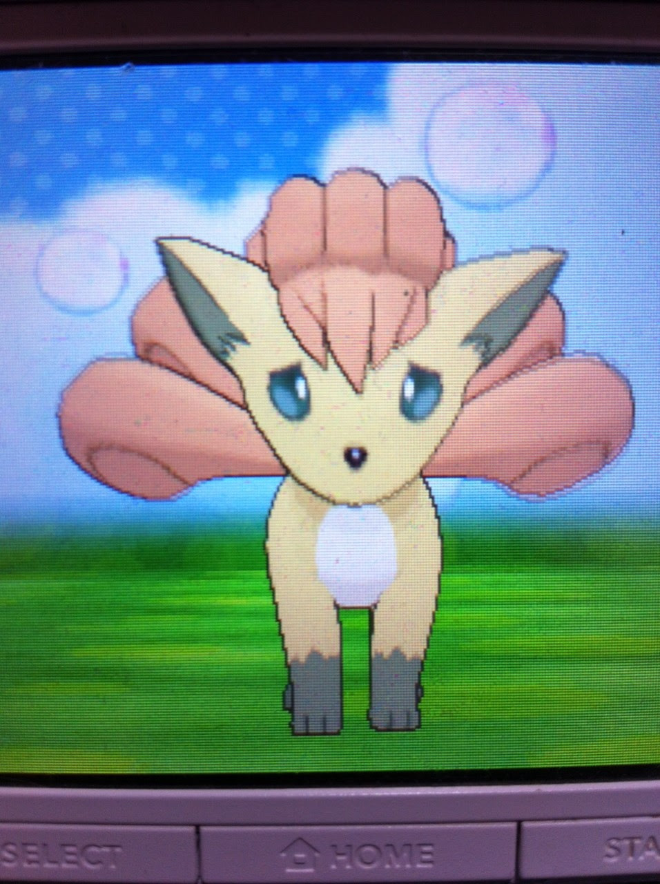 50 ポケモン Xy ロコン 入手 方法 ただぬりえ