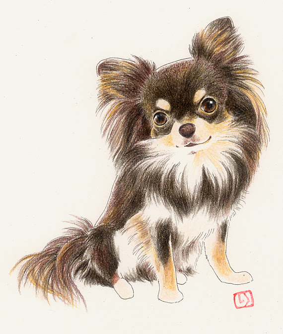 格安saleスタート チワワ ロングコートチワワ 犬 犬の絵 絵画 イラスト 原画 手描き 鉛筆画 絵画 タペストリ