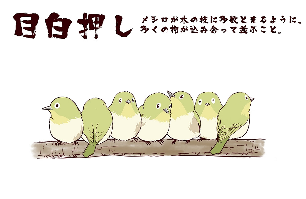 最高の鳥慣用句 最高のぬりえ