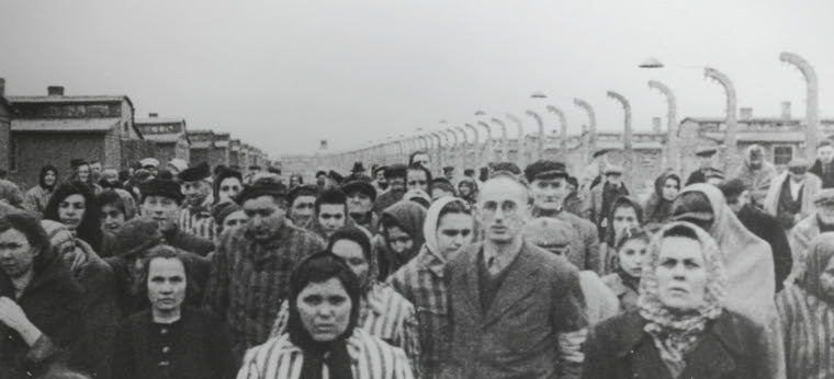 http://70.auschwitz.org/images/70/wyzwolenie_70.jpg