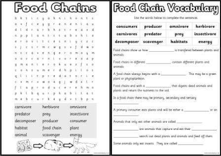 We have lots of activity sheets about many different topics. Geography Worksheet New 657 Geography Worksheets Ks3 Free