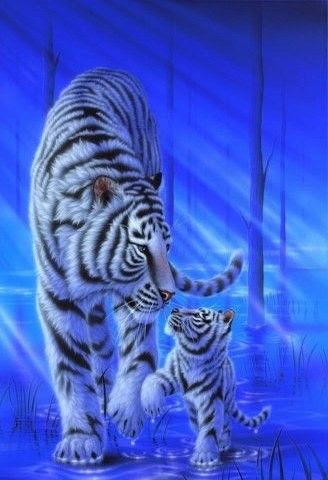 Angelanne Photo De Tigre Blanc