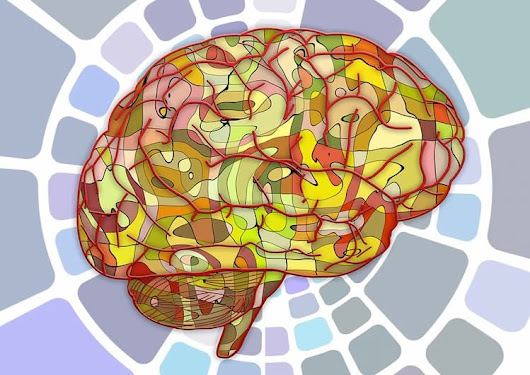 Our Brains Have a Basic Algorithm That Enables Our Intelligence