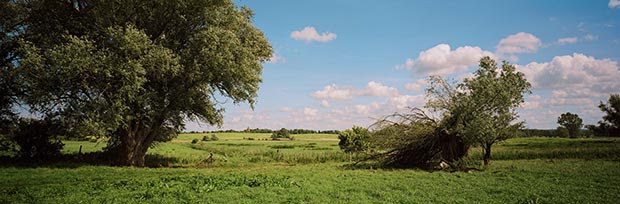 Wim Wenders, Landscape near Wittenberge, Germany, 2014, Image courtesy the artist and BlainSouthern