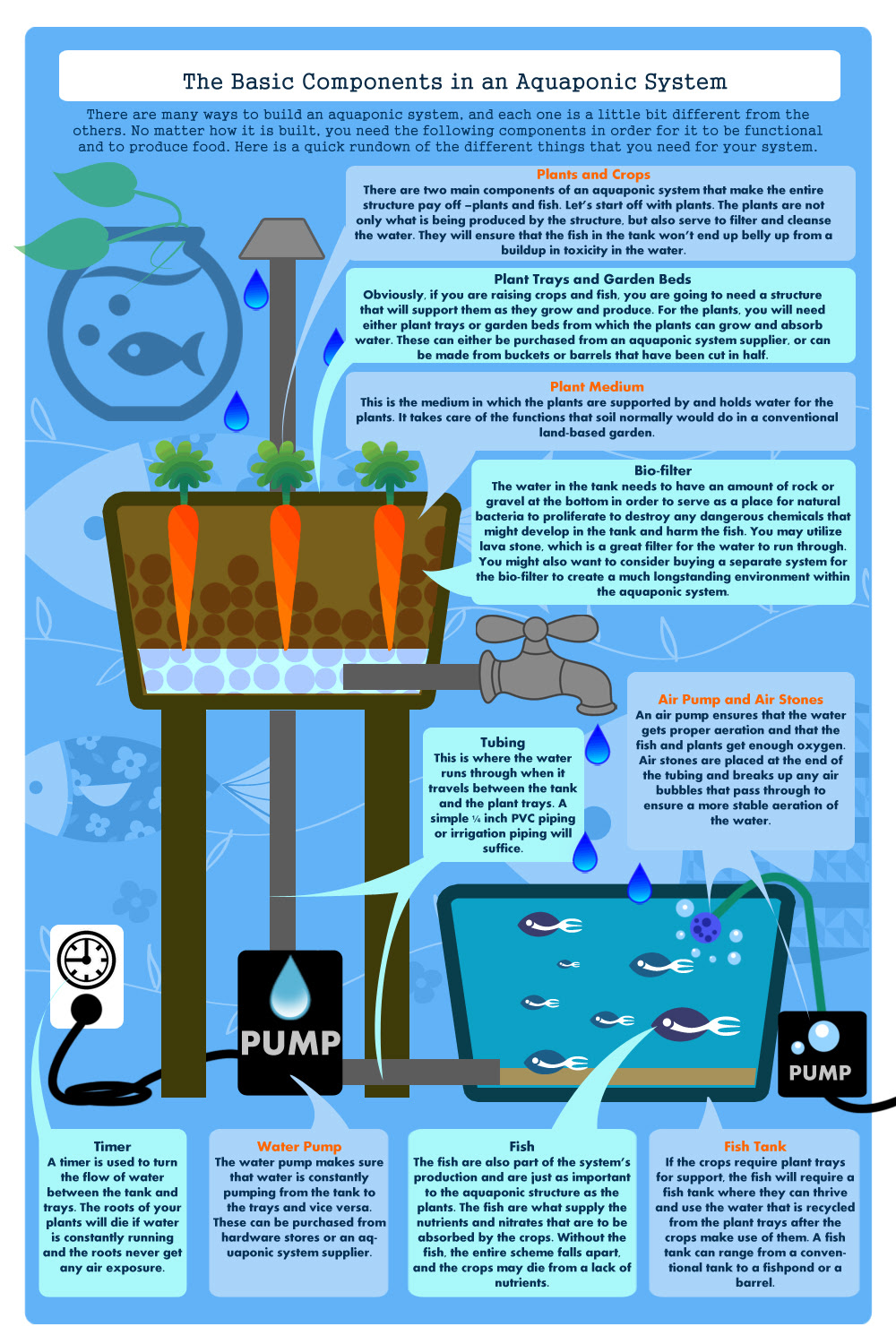 Aquaponics Farm