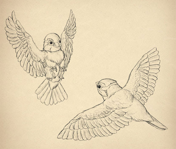 75 鳥 イラスト 簡単 書き方 ディズニー画像のすべて