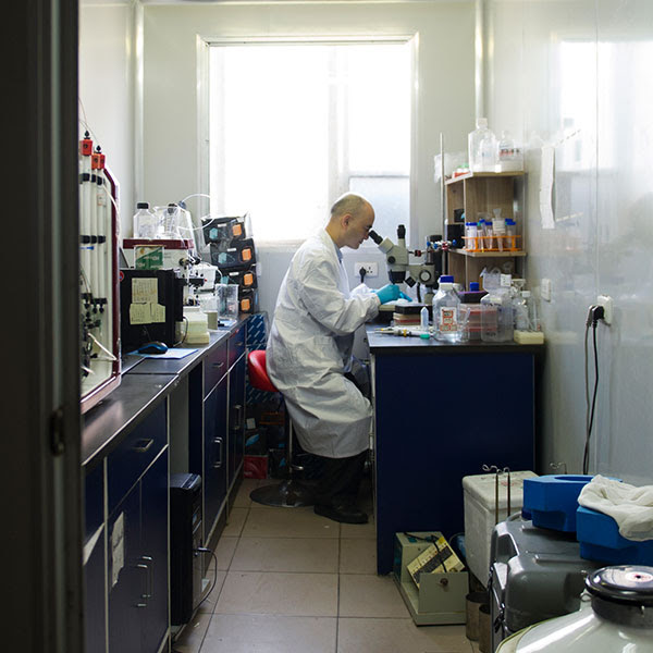 Portrait of Prof. Li Hua using a microscope in a research lab.