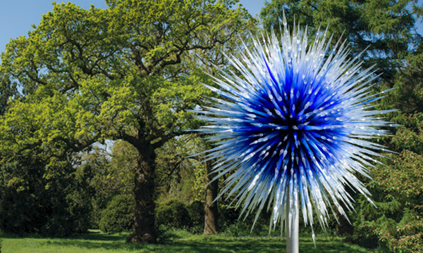 Dale Chihuly, Sapphire Star, 2010, 9½ x 9½ x 9½' © Chihuly Studio