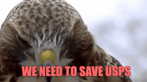 The hawk says Save the USPS