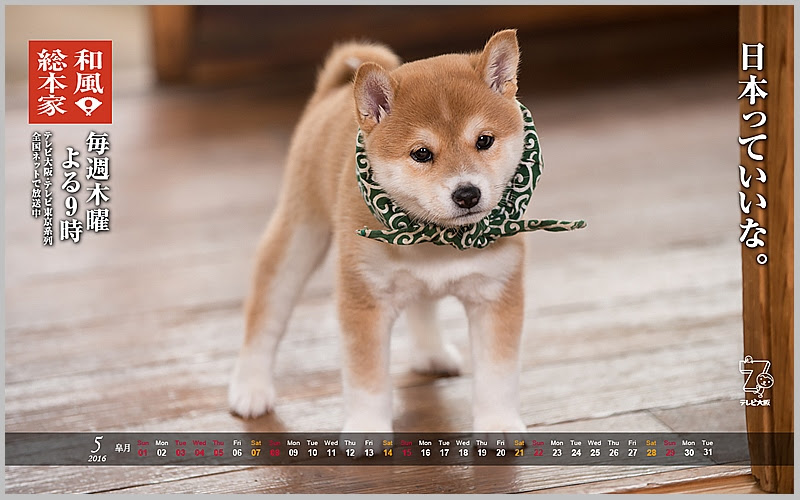 豆助 壁紙 Hdの壁紙 無料 Itukabegami