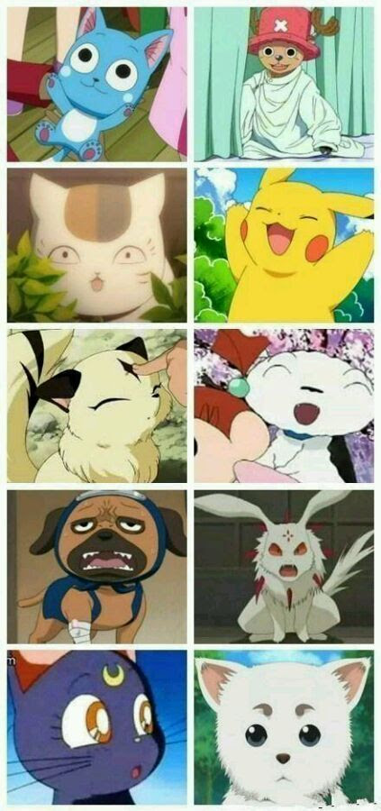 驚くばかり動物キャラクター アニメ 最高のアニメ画像