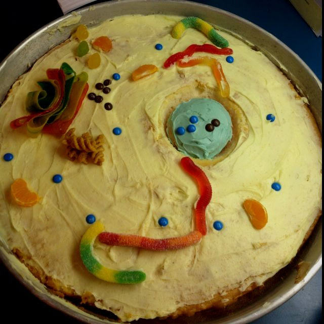 Animal Cell Model Diagram Project Parts Structure Labeled ...