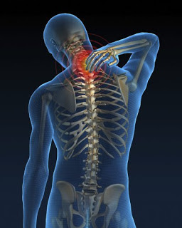 Ligaments provide stability of the spine during movement and rest. Chiropractor Bloomington Il Shepard Pain Performance Bloomington Il Chiropractor
