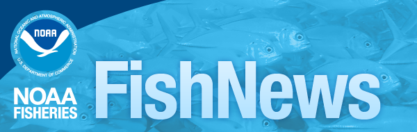 FishNews banner