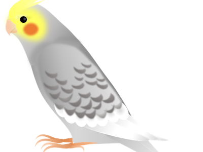 [無料ダウンロード！ √] オカメインコ 年賀状 849404-年賀状 オカメインコ