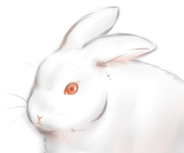 ダウンロード済み かっこいい カッコイイ うさぎ イラスト 新しい壁紙明けましておめでとうございます21