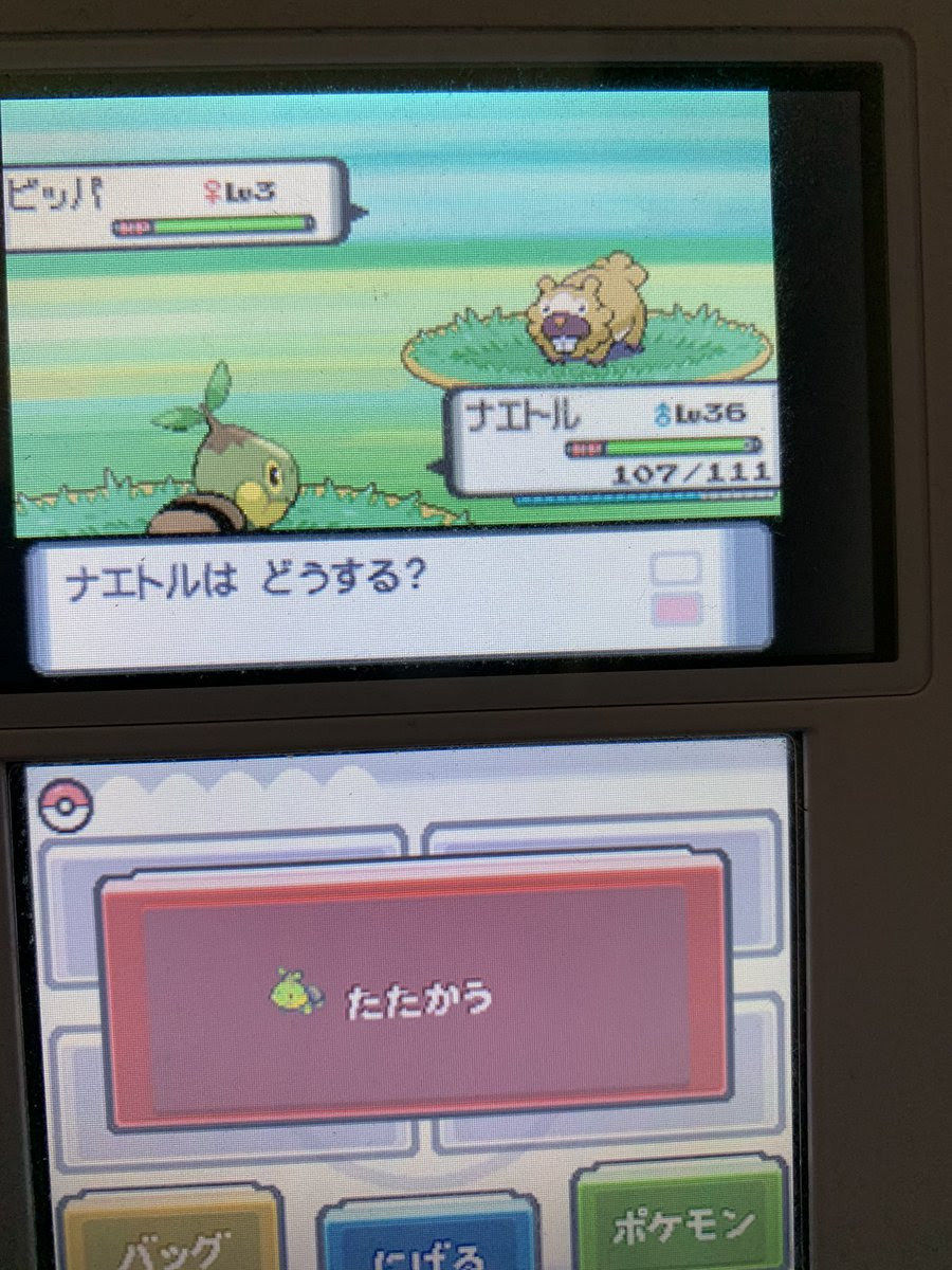 ポケモン パール ポケトレ イメージポケモンコレクション