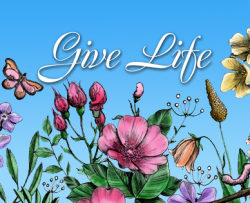 image of wildflowers with the text give life